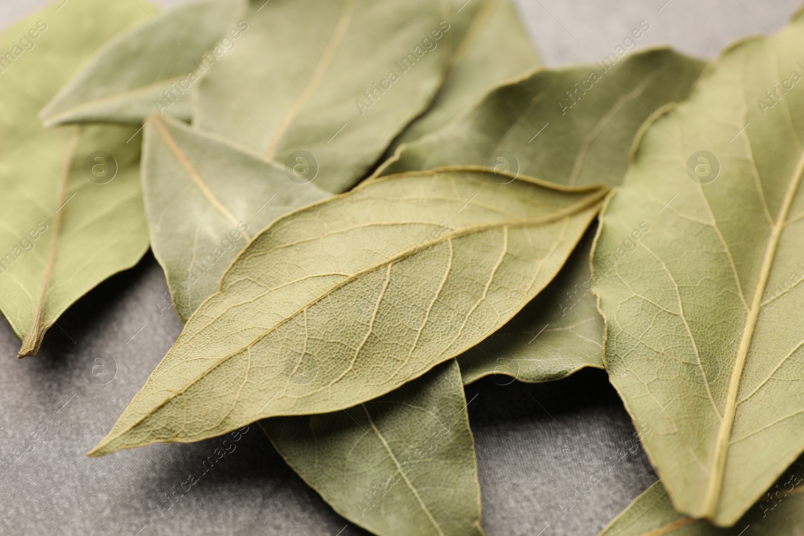 Photo of Aromatic bay leaves on light gray table, closeup