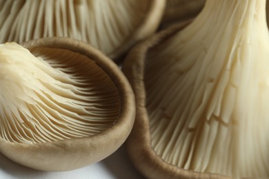 Photo of Fresh oyster mushrooms on white background, macro view