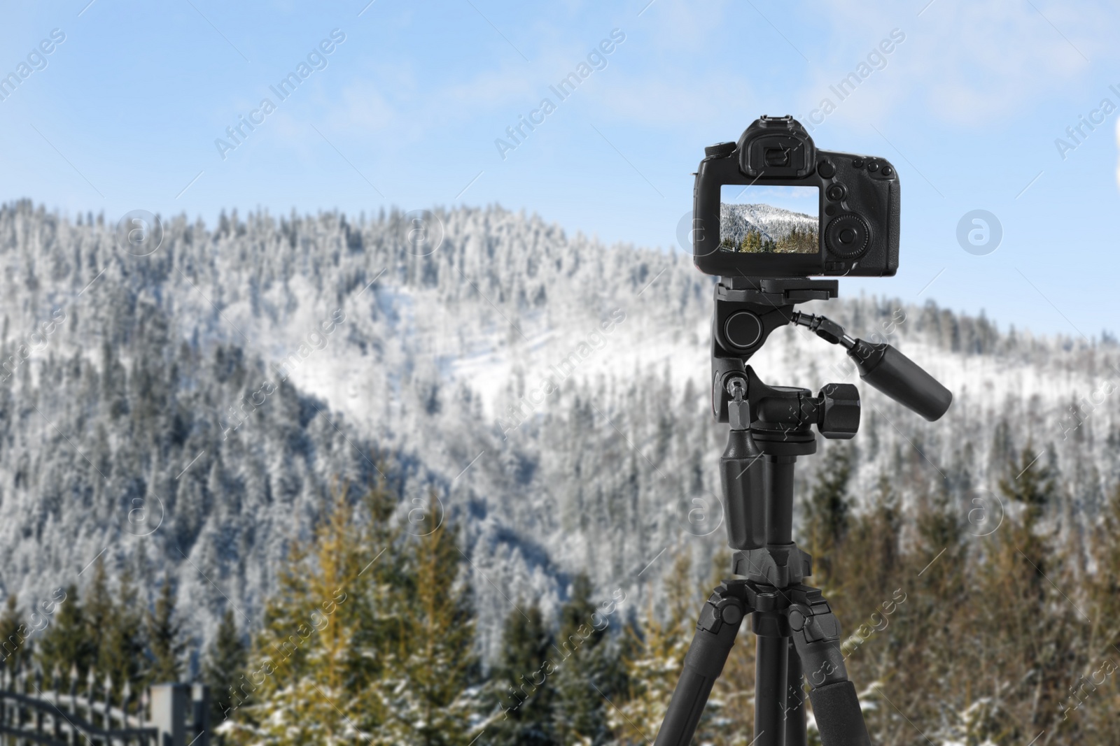 Image of Recording beautiful view of snowy forest on professional video camera