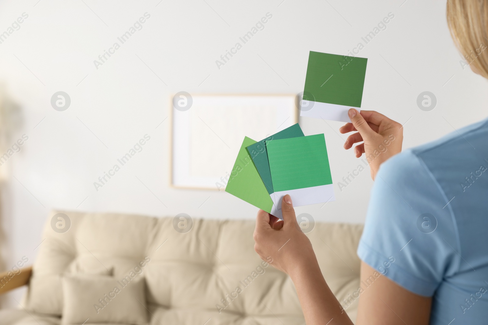 Photo of Woman choosing paint shade for wall in room, focus on hands with color sample cards. Interior design