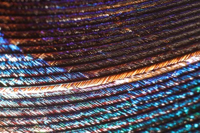 Photo of Texture of beautiful peacock feather as background, closeup