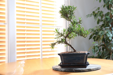 Japanese bonsai plant on wooden table near window, space for text. Creating zen atmosphere at home
