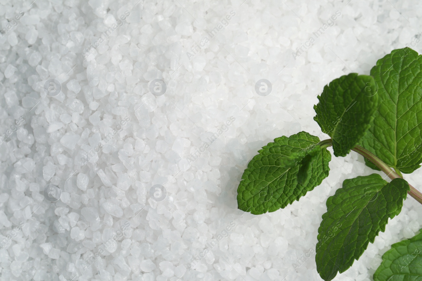 Photo of Natural sea salt and mint as background, top view