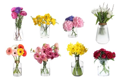 Image of Collage with many beautiful flowers in glass vases on white background