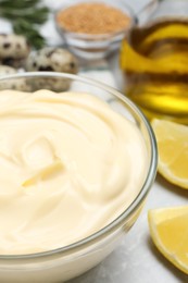 Delicious homemade mayonnaise and ingredients on grey table, closeup