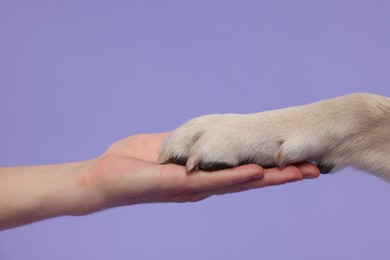 Photo of Dog giving paw to man on purple background, closeup