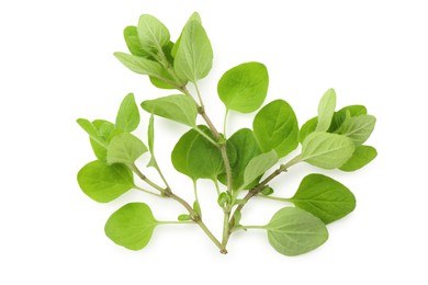 Sprig of fresh green oregano isolated on white, top view