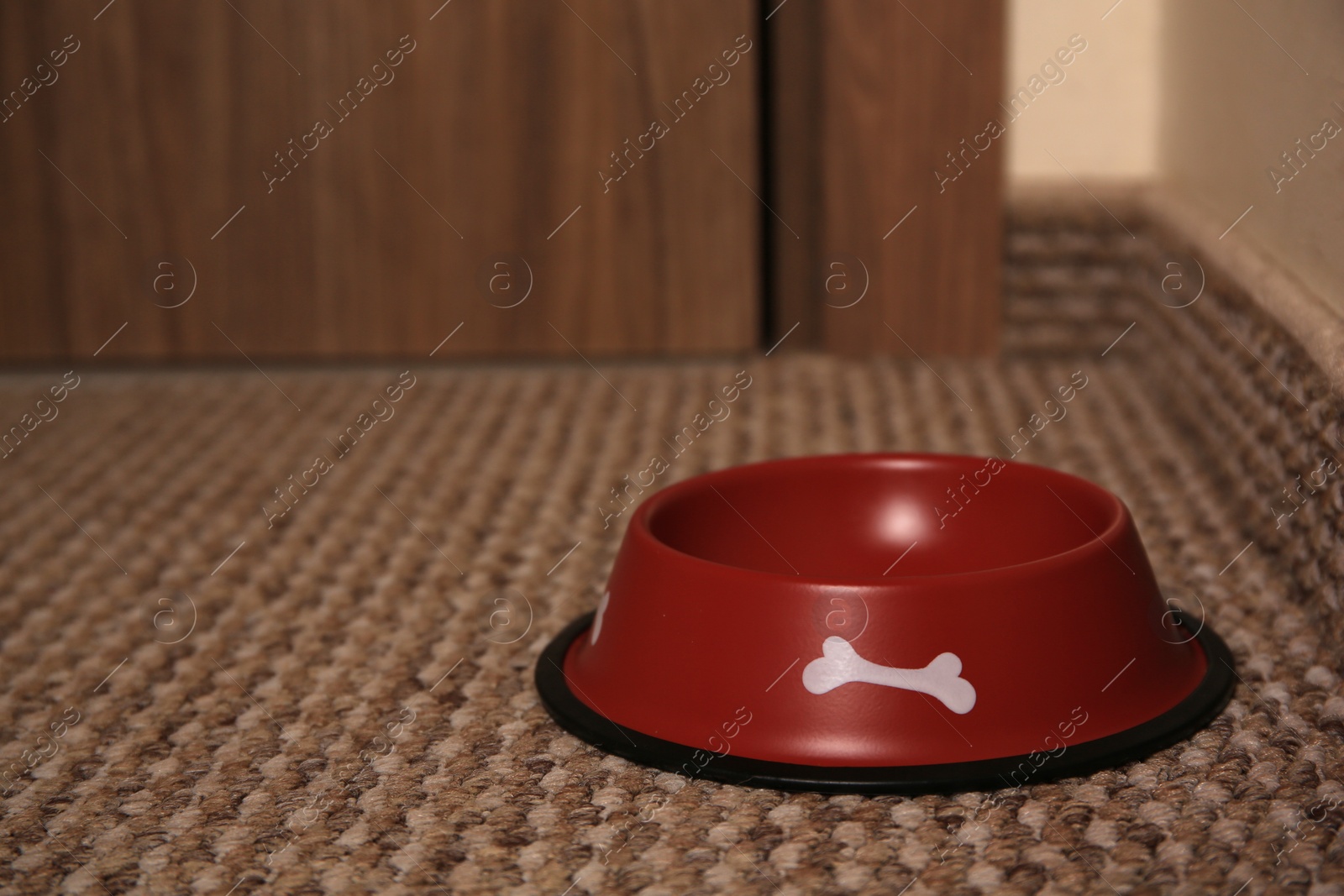 Photo of Empty red feeding bowl on soft carpet indoors. Space for text