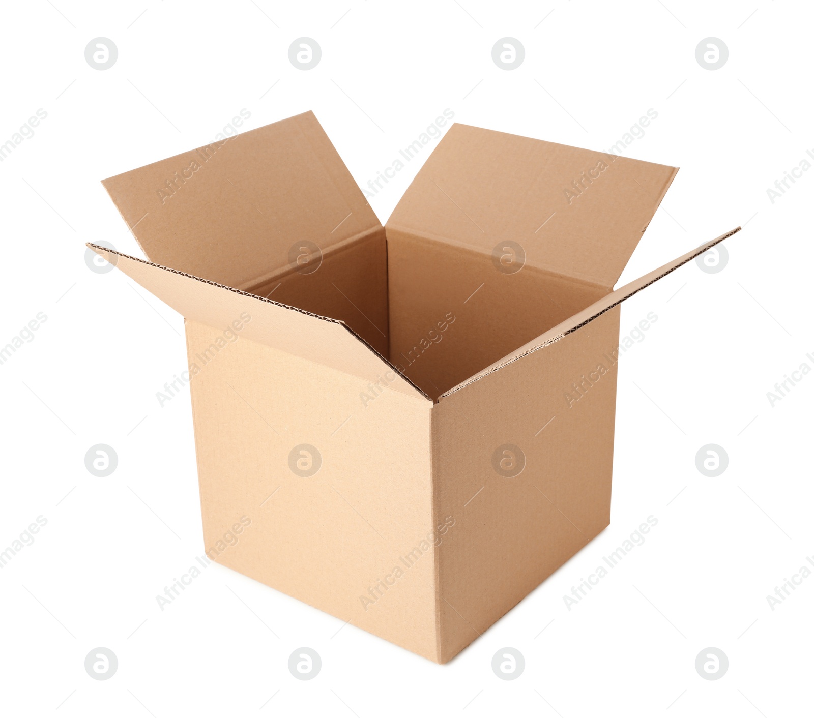 Photo of One open cardboard box isolated on white