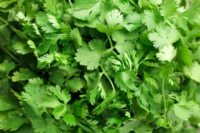 Photo of Fresh green coriander leaves as background, top view