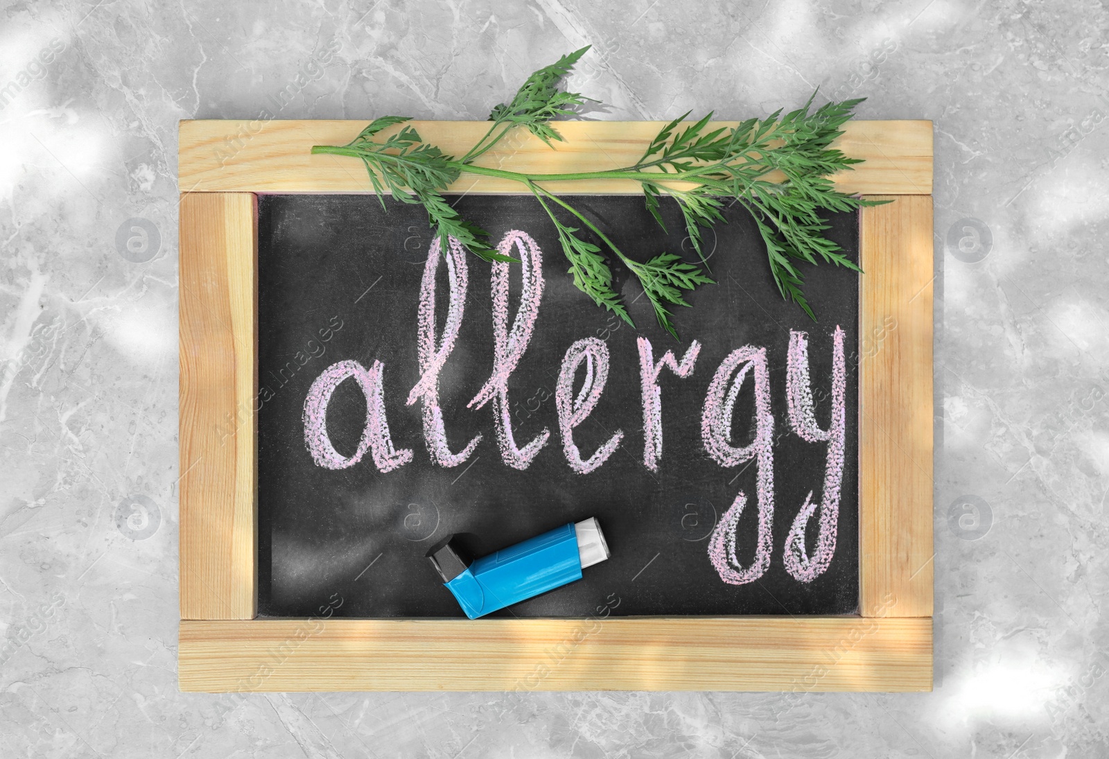 Photo of Ragweed (Ambrosia), medication and chalkboard with word ALLERGY on grey marble background, flat lay