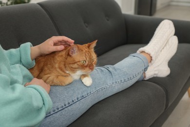 Photo of Woman petting cute cat on sofa at home, closeup