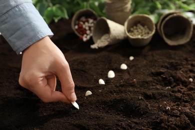 Woman planting pumpkin seeds into fertile soil, closeup. Vegetables growing