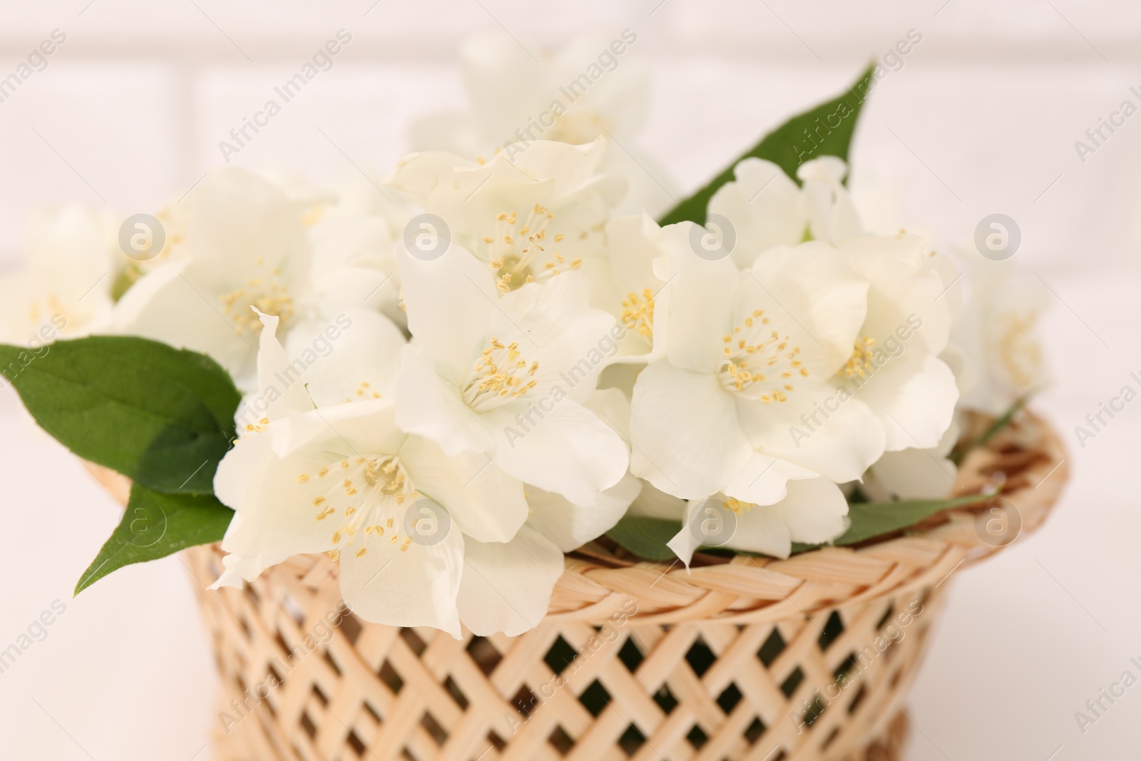 Photo of Beautiful jasmine flowers in wicker basket against blurred background, closeup