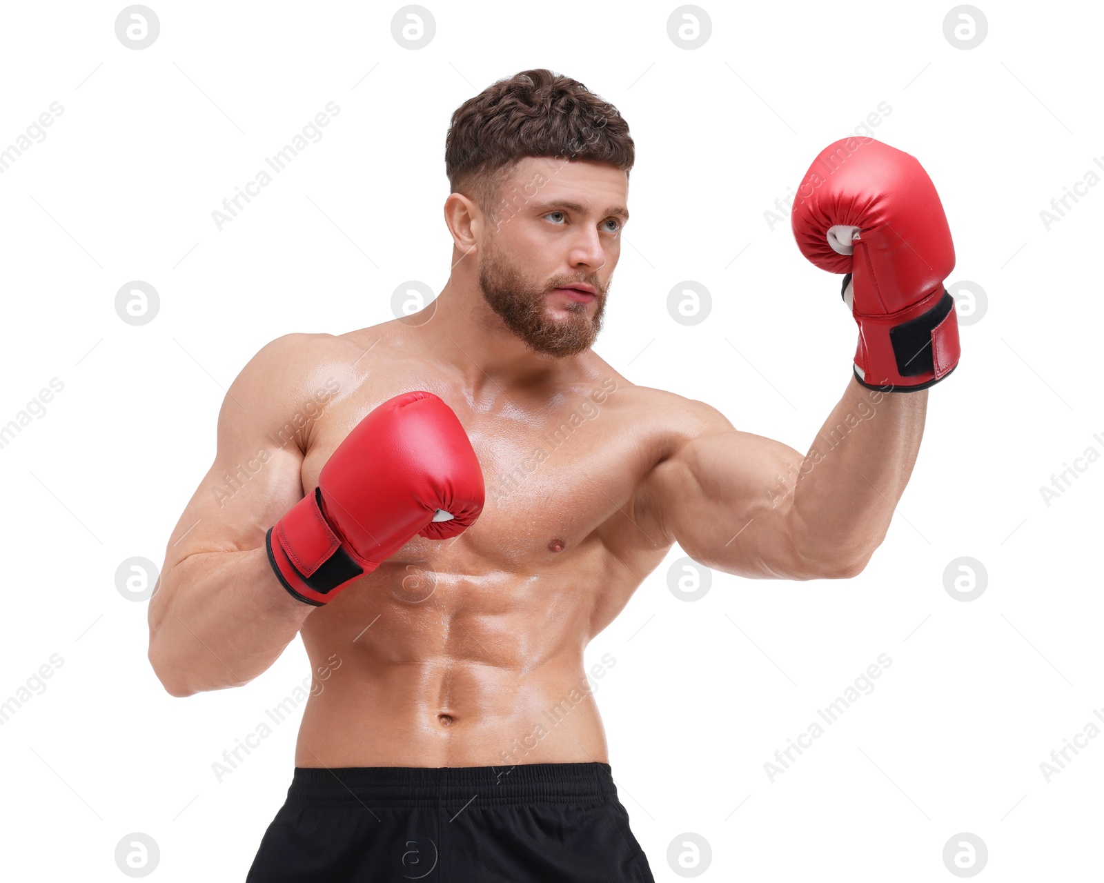 Photo of Man in boxing gloves fighting on white background