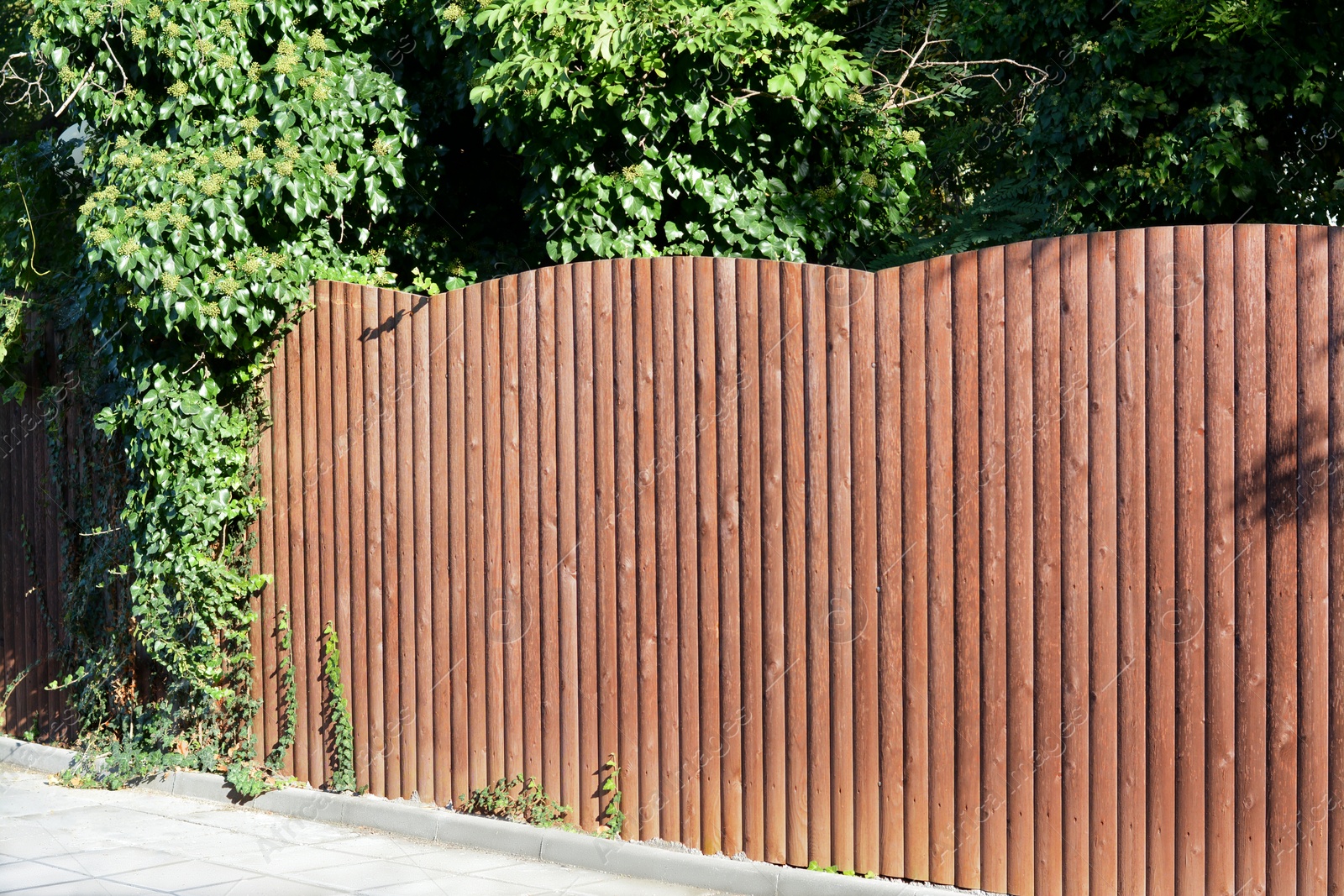 Photo of Wooden fence near trees on sunny day outdoors