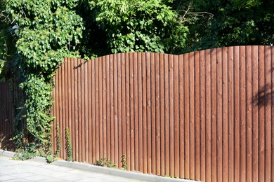 Wooden fence near trees on sunny day outdoors