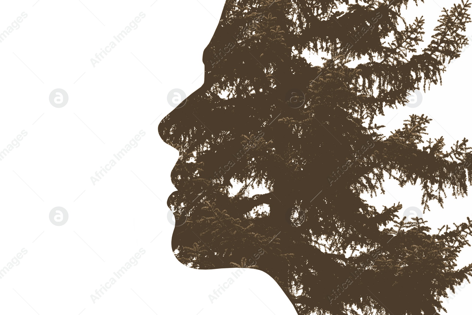 Image of Double exposure with silhouette of woman and trees, sepia effect