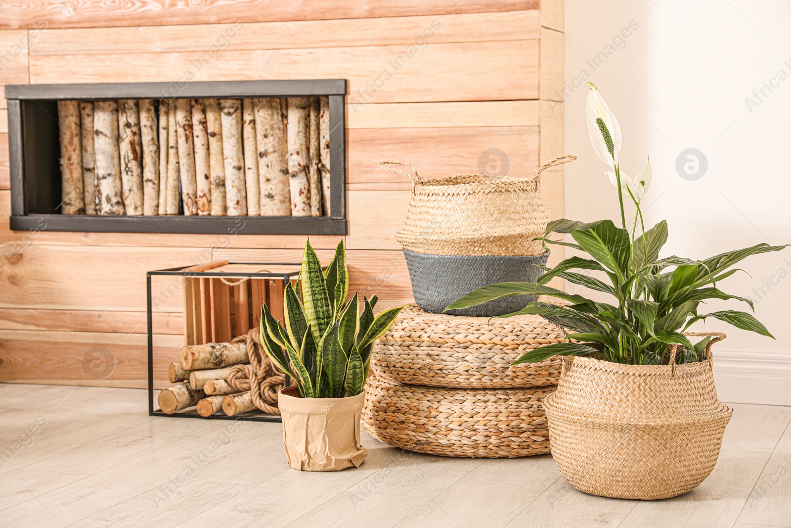 Photo of Stylish interior design with beautiful plants in pots