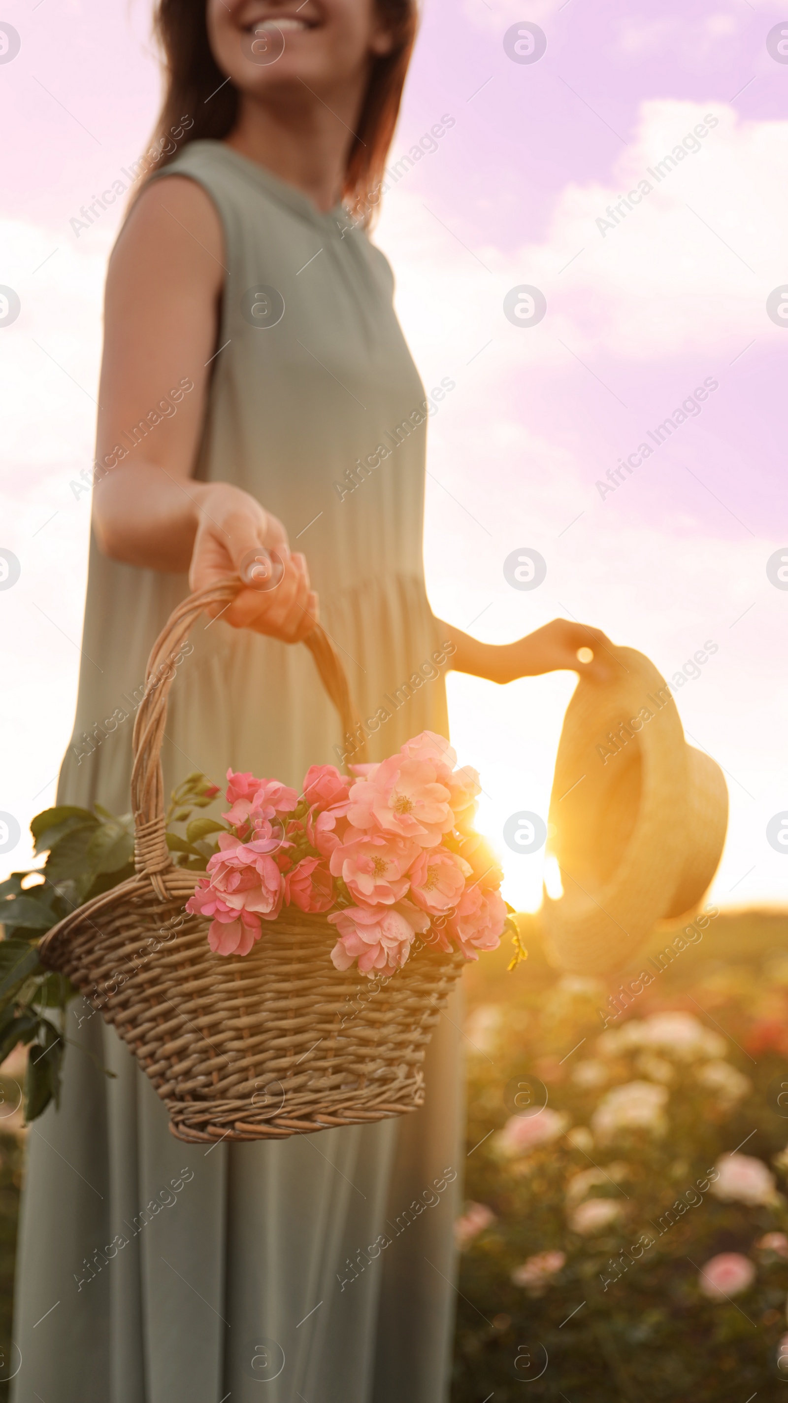 Photo of Woman with basket of roses in beautiful blooming field, closeup