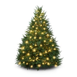 Christmas tree decorated and festive lights isolated on white