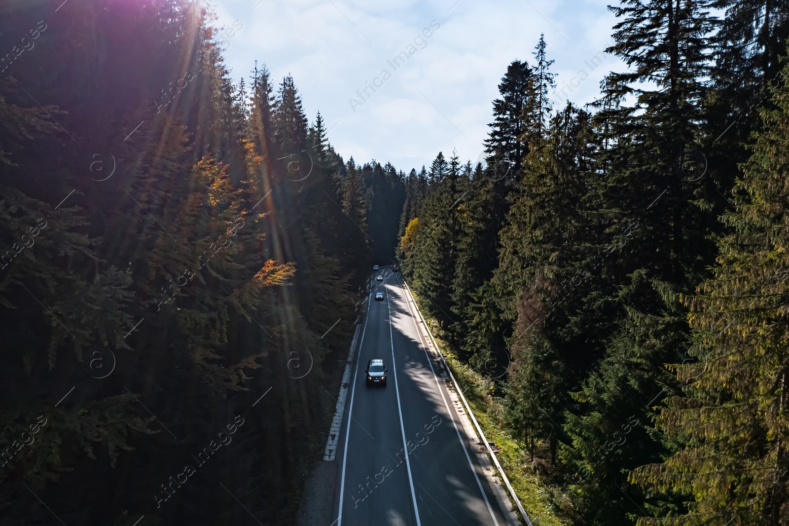 Image of Asphalt road surrounded by coniferous forest on sunny day. Drone photography