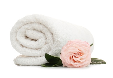 Photo of Clean rolled towel with flower on white background