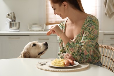 Photo of Owner giving sausage to cute dog in kitchen