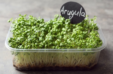 Sprouted arugula seeds in plastic container on grey table