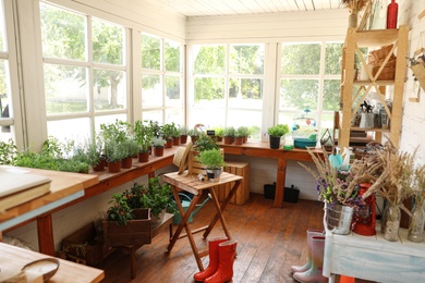Photo of Different seedlings and gardening tools in closed veranda