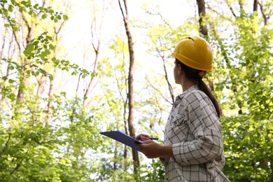 Forester in hard hat with clipboard examining plants in forest