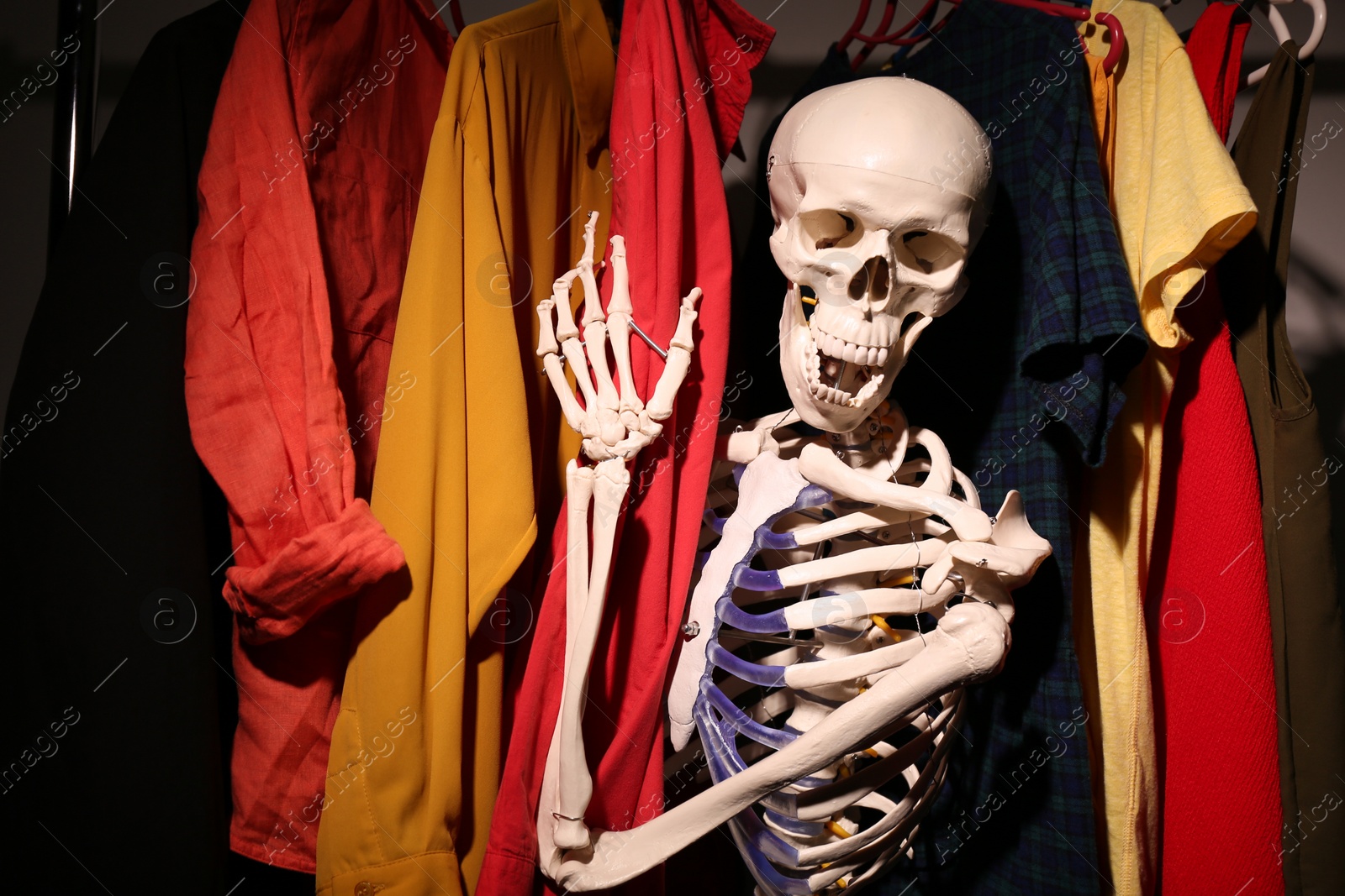 Photo of Artificial human skeleton model among clothes in wardrobe