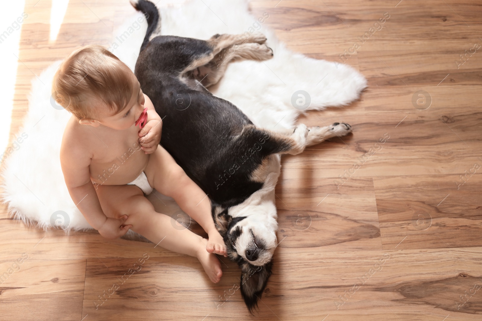 Photo of Adorable baby with pacifier and cute dog on faux fur rug, above view
