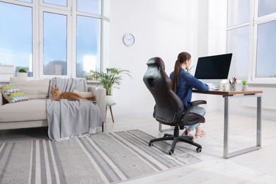 Photo of Woman working at desk and cat lying on sofa in room. Home office