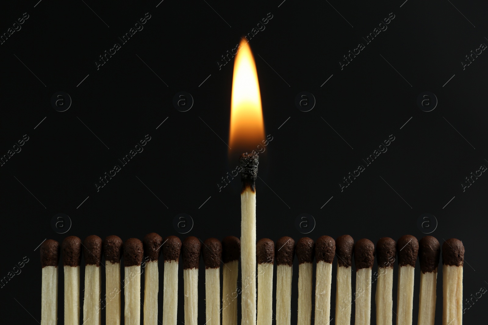 Photo of Burning match among unlit ones on black background, closeup