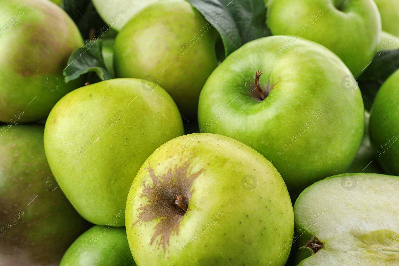 Photo of Many ripe juicy green apples as background