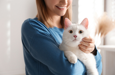 Young woman with her beautiful white cat at home, closeup. Fluffy pet