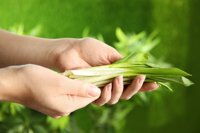 Photo of Woman holding fresh wild garlic or ramson on blurred background, closeup