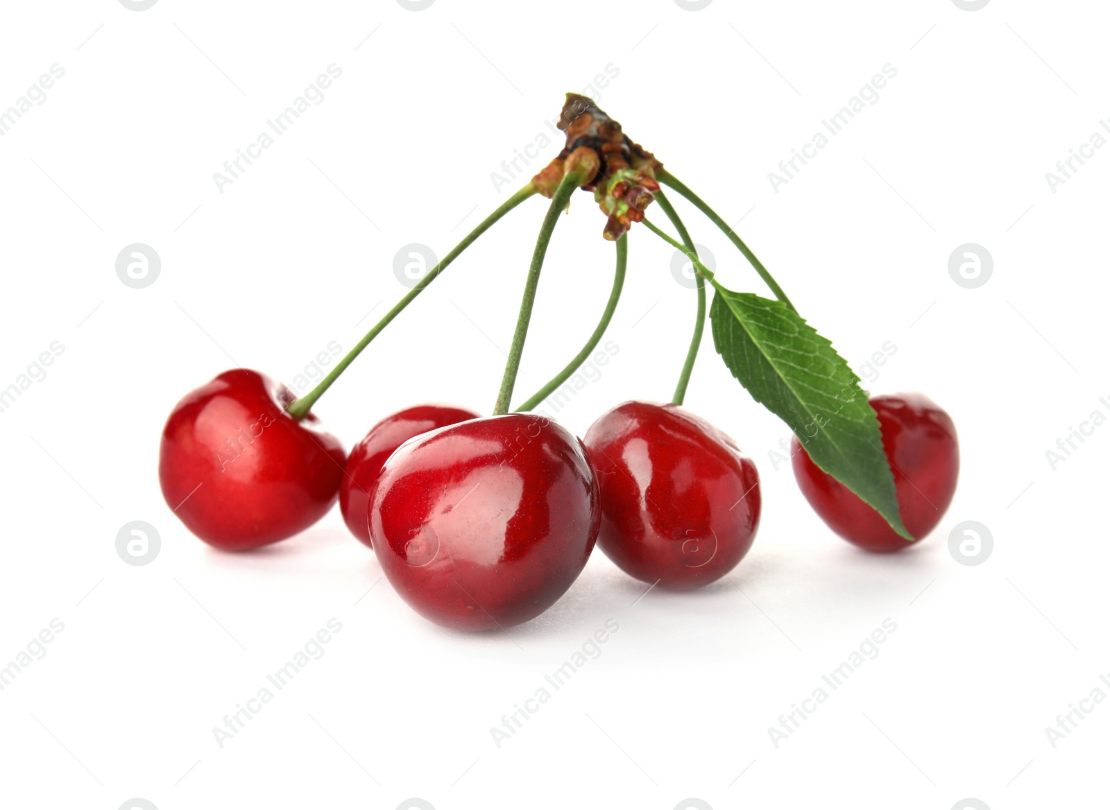 Photo of Sweet red cherries with leaf on white background