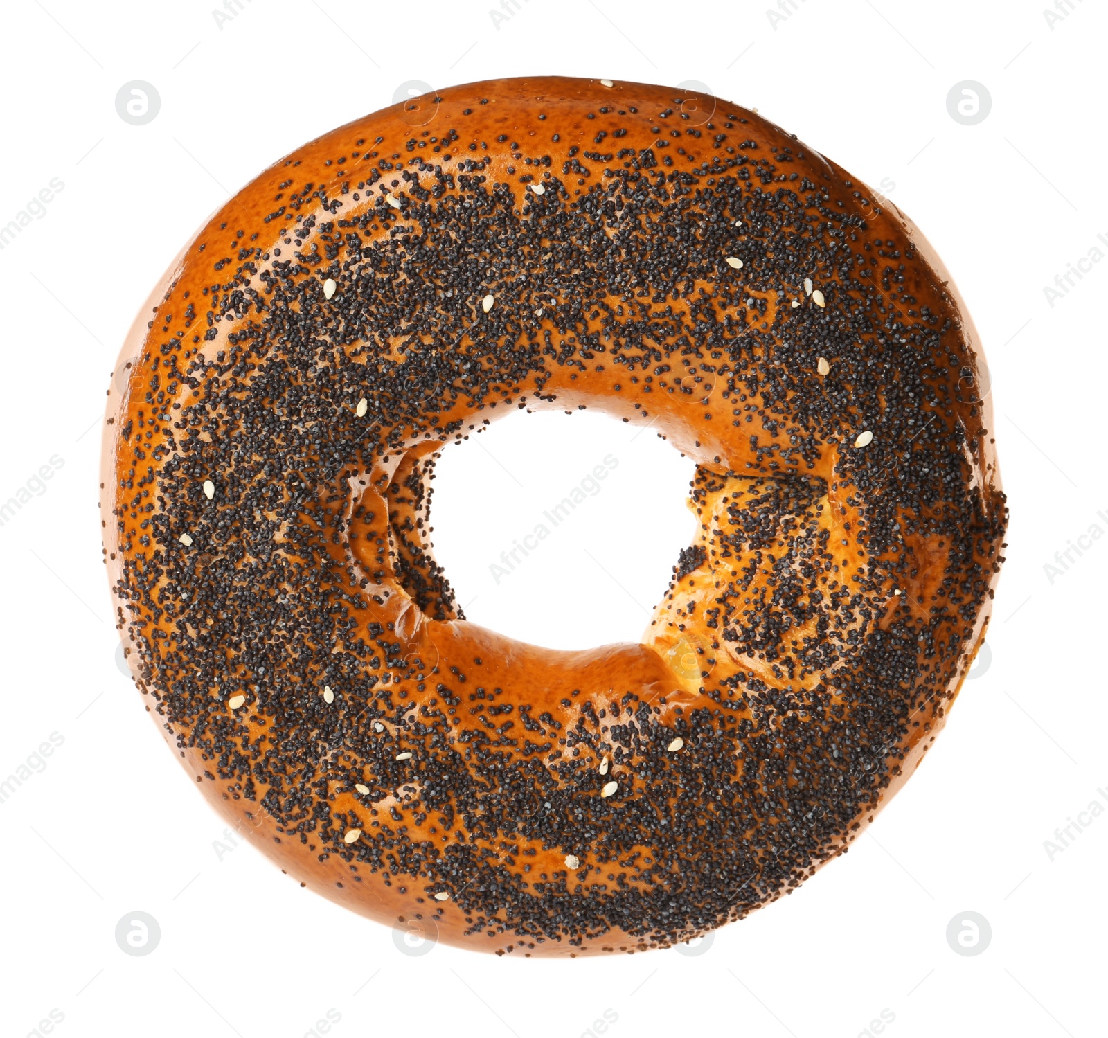 Photo of Delicious fresh bagel with poppy seeds isolated on white