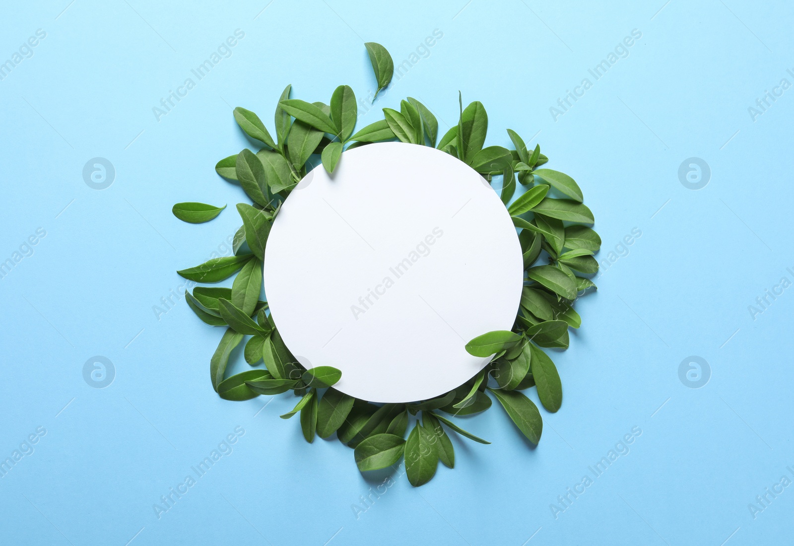 Photo of Blank card with green leaves on color background