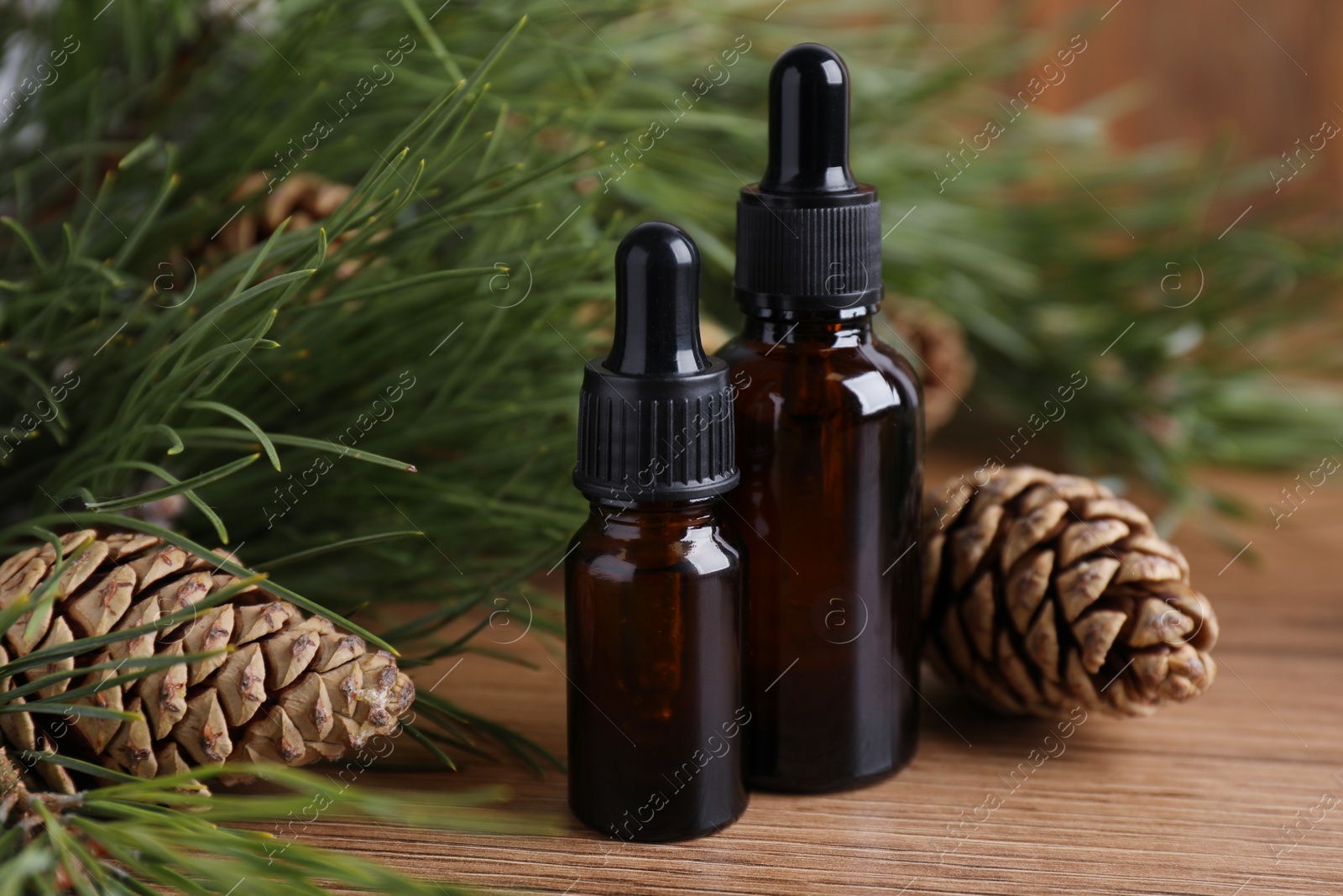 Photo of Pine essential oil, cones and branches on wooden table, closeup