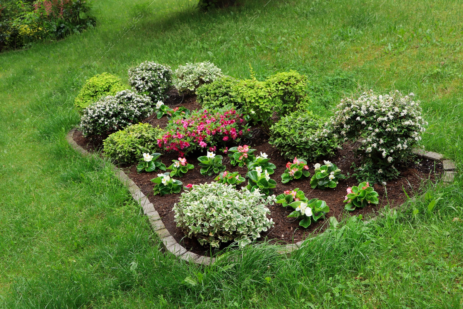 Photo of Beautiful flowerbed with different plants outdoors. Gardening and landscaping