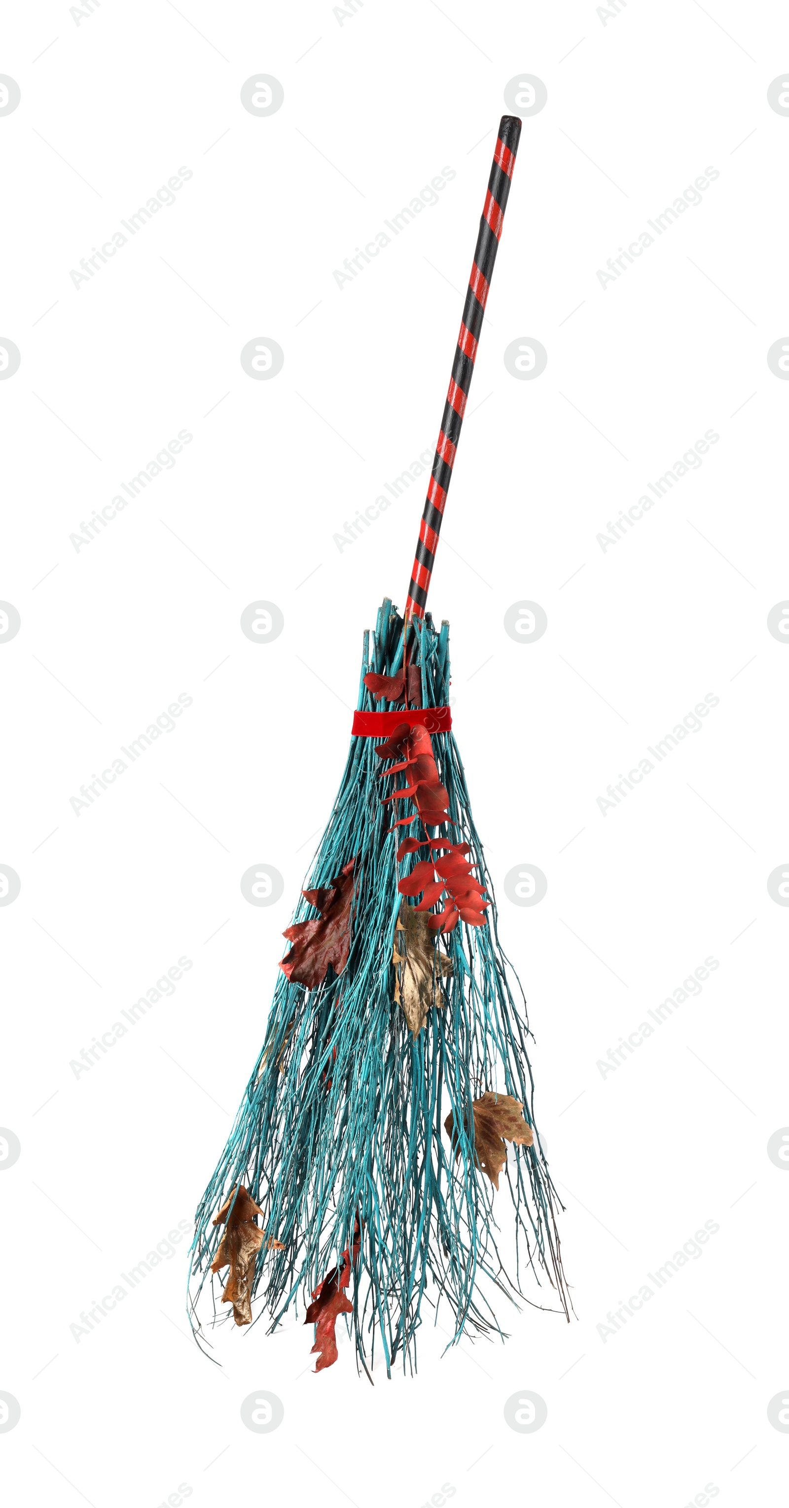 Photo of One beautiful witch's broom with dry leaves isolated on white