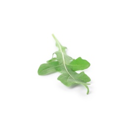 Photo of Leaf of fresh arugula isolated on white