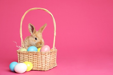 Photo of Adorable furry Easter bunny near wicker basket with dyed eggs on color background, space for text