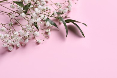 Photo of Beautiful gypsophila and green leaves on pink background. Space for text
