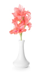 Photo of Vase with beautiful gladiolus flowers on white background