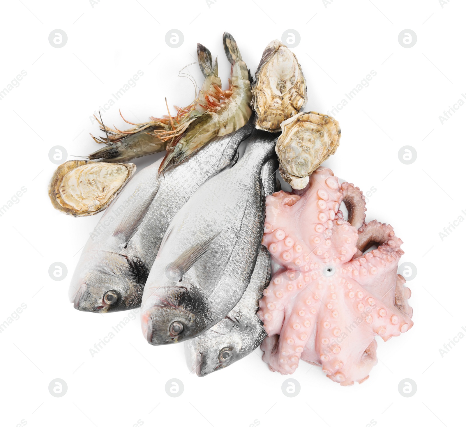 Photo of Fresh dorado fish, octopus, oysters and shrimps on white background, top view