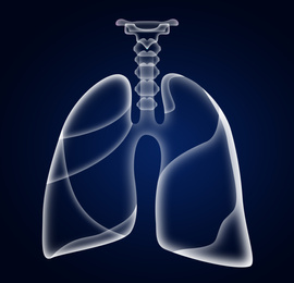 Illustration of  human lungs on dark blue background